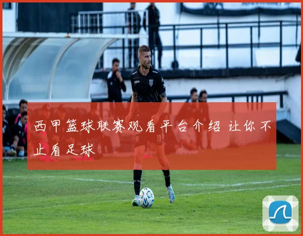 西甲篮球联赛观看平台介绍 让你不止看足球