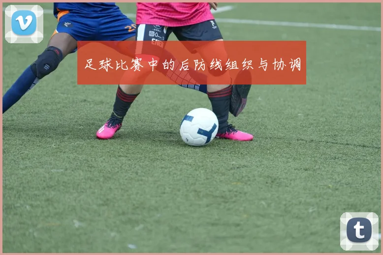 足球比赛中的后防线组织与协调