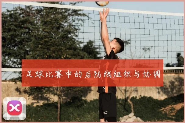 足球比赛中的后防线组织与协调