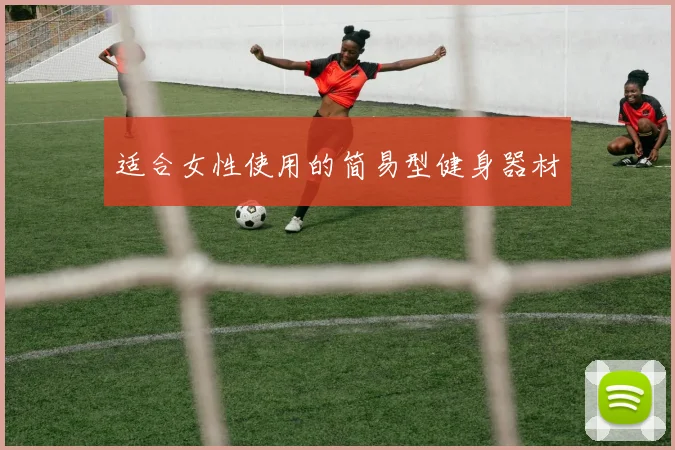 适合女性使用的简易型健身器材