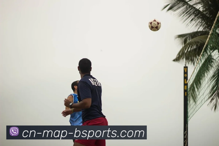 App Interface Preview